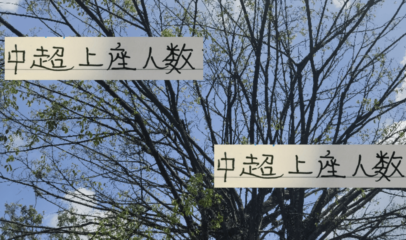 北京国安V, 现场看球, itc