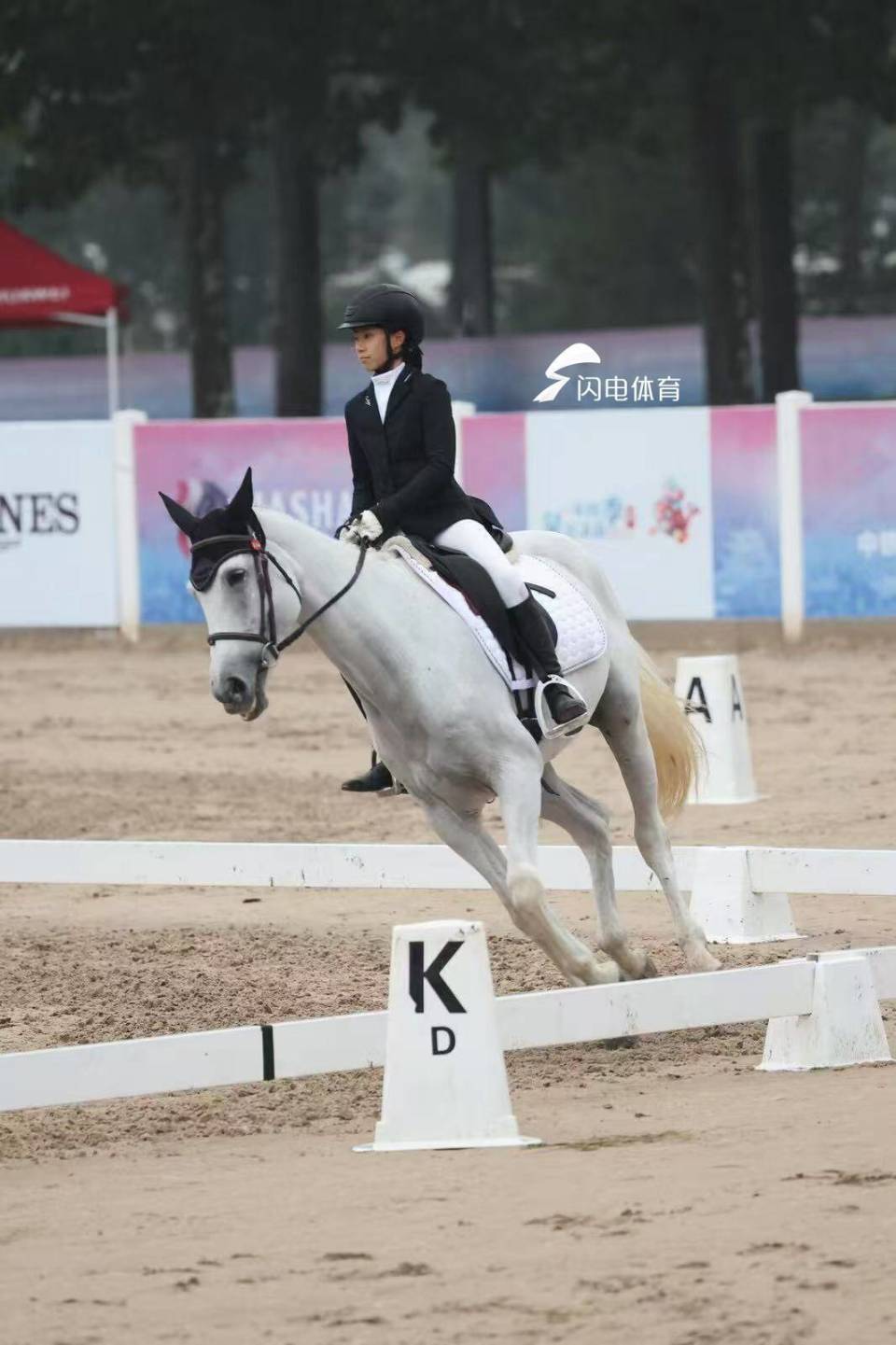 src, src, 也是促进山